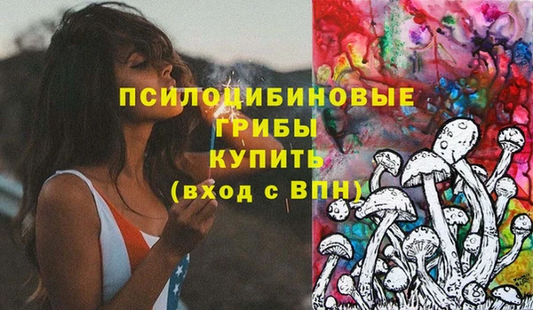 МДМА Горняк