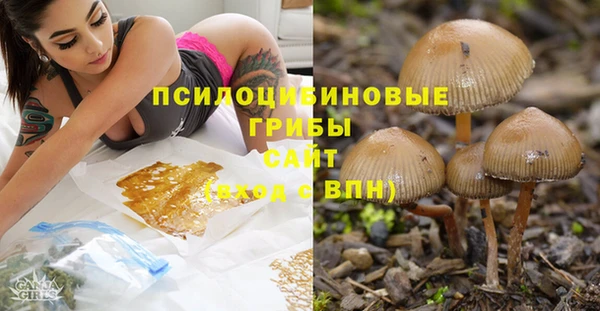 МДМА Горняк