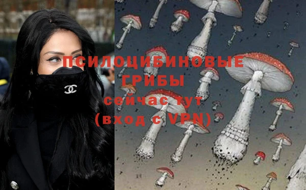 МДМА Горняк